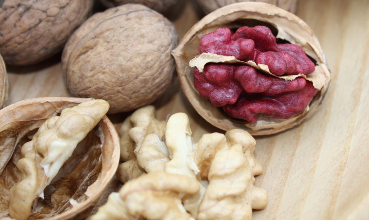 Es gibt verschiedene Walnuss-Sorten. Hier sieht man die Rote und die Weiße im Vergleich.