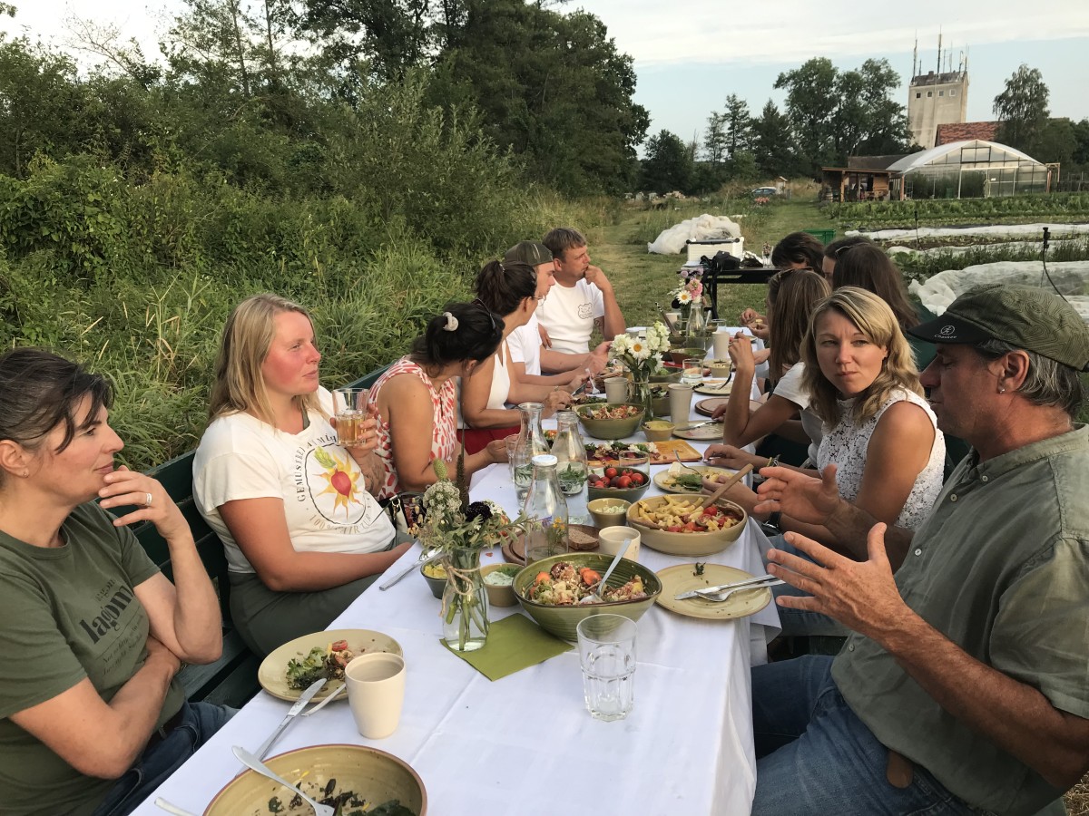 Gedeckte Tafel am Gemüseacker