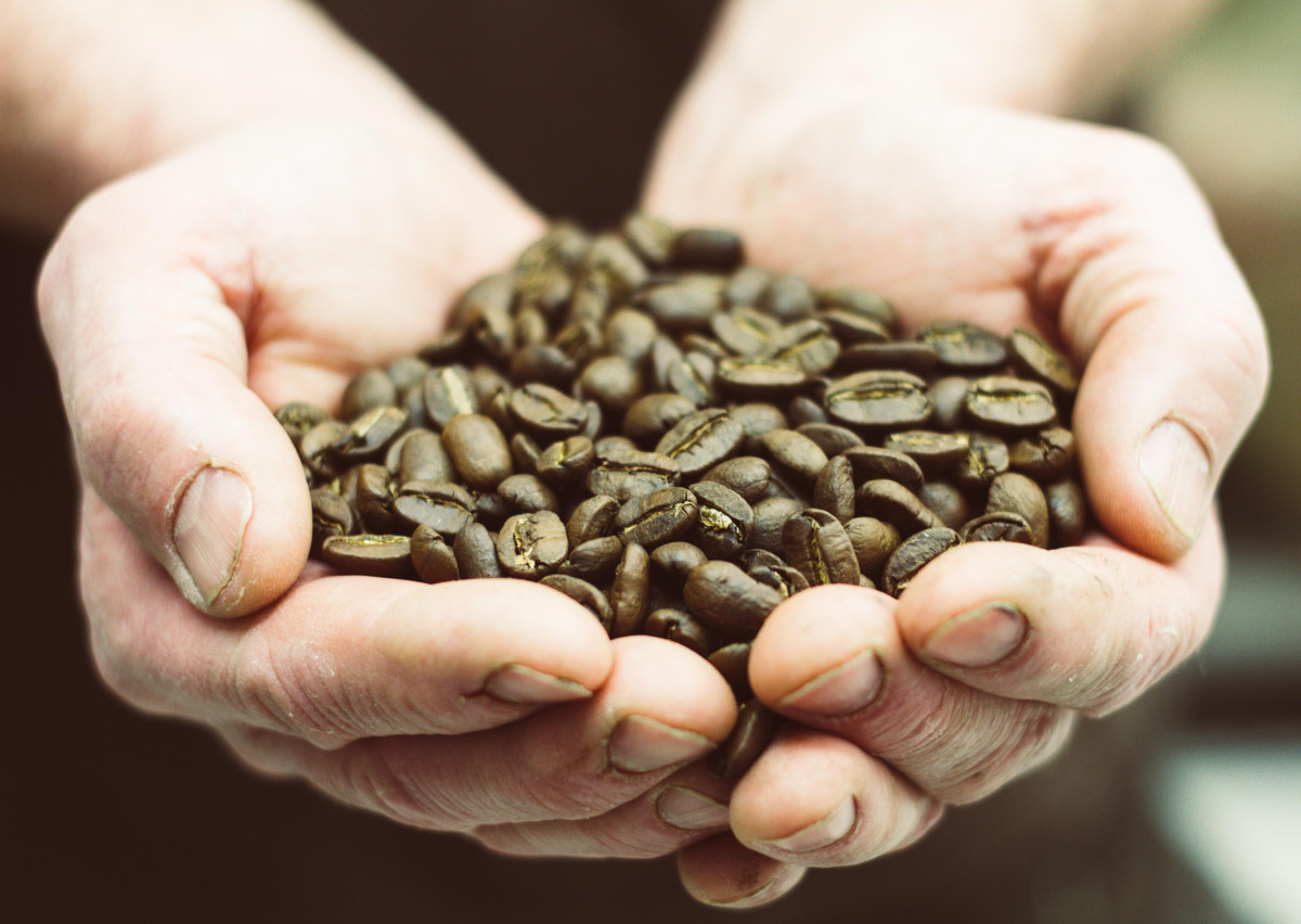 Rainer Bühner ist Handwerker. Das sieht man auch an seinen Händen. Seit zwölf hat er sich dem Handwerk des Kaffee-Röstens verschrieben.