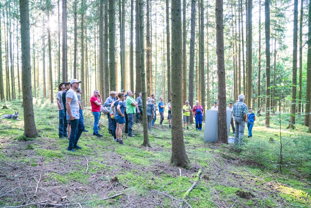 Teilnehmer des Forum-Zukunftswald inmitten von Baumstämmen.