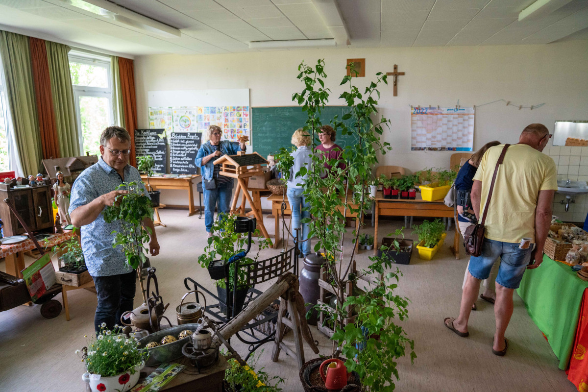Menschen betrachten Pflanzen im Klassenzimmer
