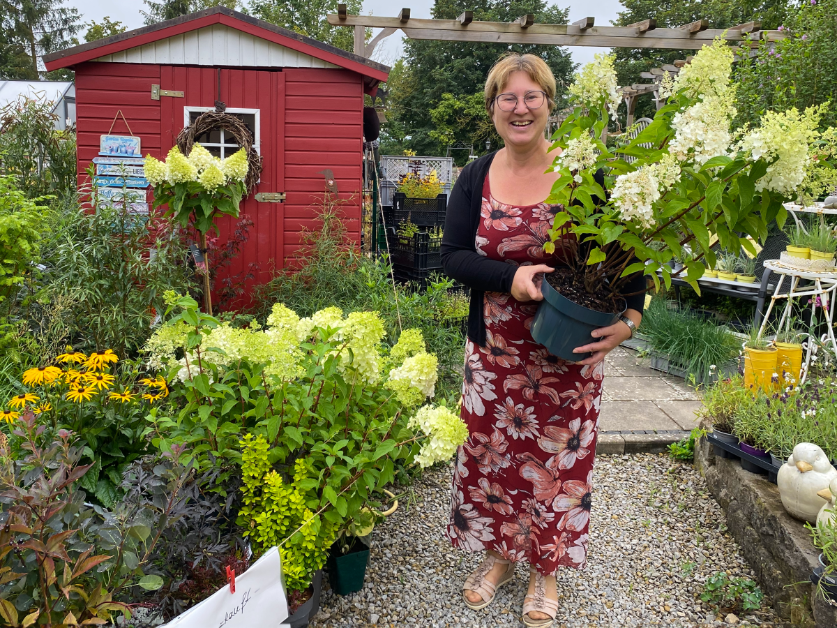 Eine Frau in einer Gärtnerei mit einer Hortensie auf dem Arm