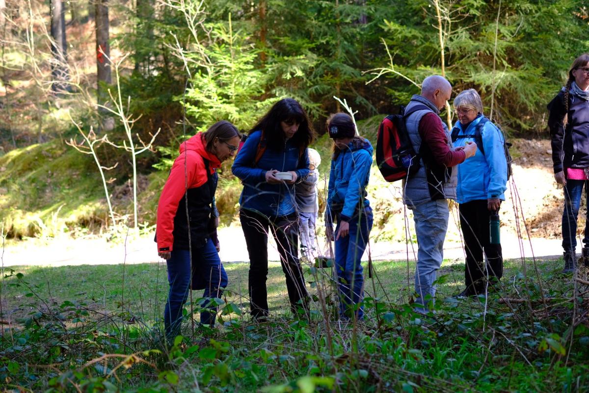 Kräuterwanderung