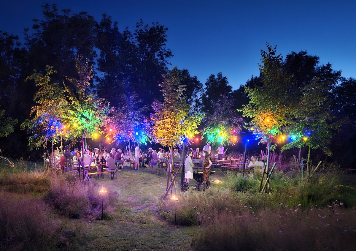 Ein bunt beleuchteter Baumkreis, darin Menschen die einem Konzert zuhören