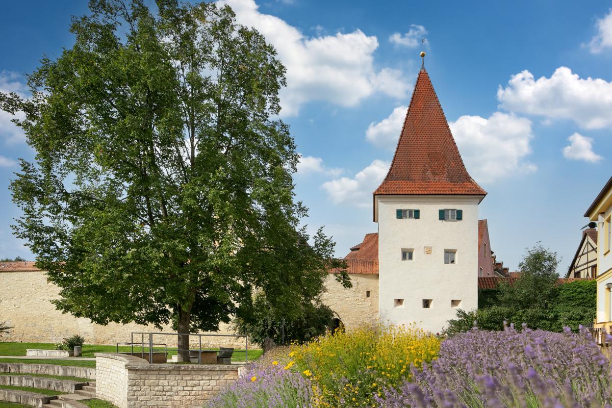 Man sieht die Stadtkulisse von Berching. Warum in die Ferne schweifen? "Dahoam" lässt es sich wunderbar erholen! Zum Beispiel im mittelalterlichen Berching.