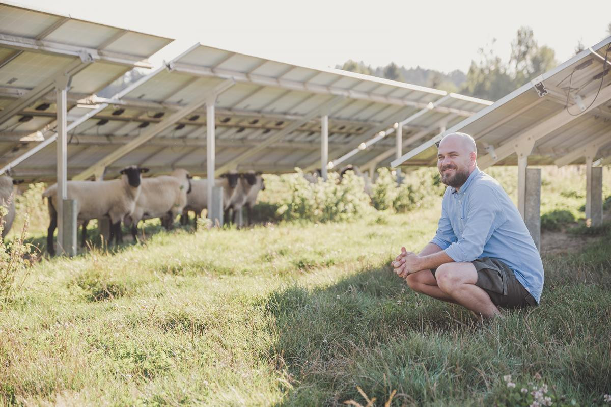 Ein junger Mann hockt in einer bunten Wiese neben Schafen und einigen Solarmodulen